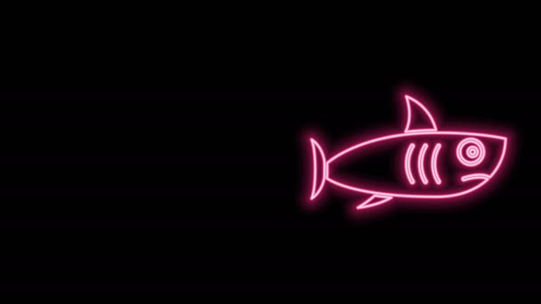 Linea al neon incandescente icona Shark isolata su sfondo nero. Animazione grafica 4K Video motion — Video Stock