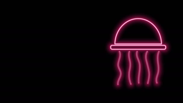 Linea neon luminosa Icona meduse isolata su sfondo nero. Animazione grafica 4K Video motion — Video Stock