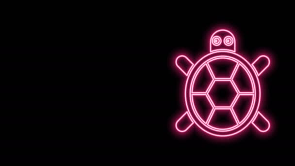 Glödande neon linje sköldpadda ikon isolerad på svart bakgrund. 4K Video motion grafisk animation — Stockvideo