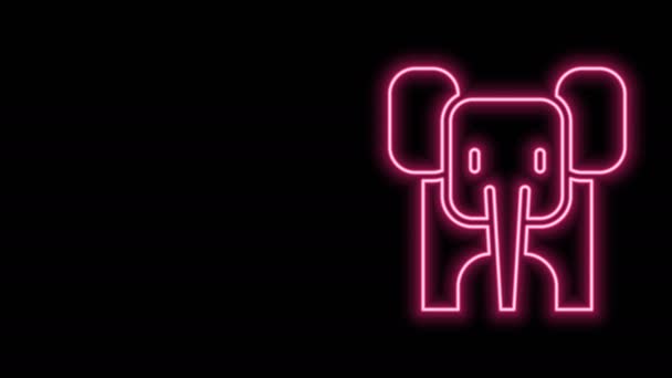Icono de elefante de línea de neón brillante aislado sobre fondo negro. Animación gráfica de vídeo 4K — Vídeo de stock