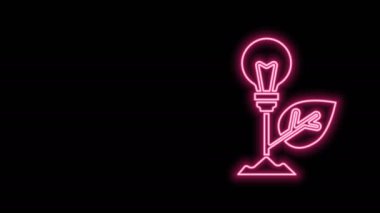 Siyah zemin üzerinde yaprak simgesi olan parlak neon çizgisi ampul. Çevre enerjisi kavramı. Alternatif enerji kavramı. 4K Video hareketli grafik canlandırması