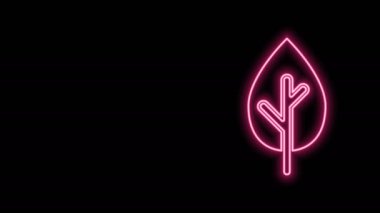 Parlayan neon çizgisi ağaç simgesi siyah arkaplanda izole edildi. Orman sembolü. 4K Video hareketli grafik canlandırması