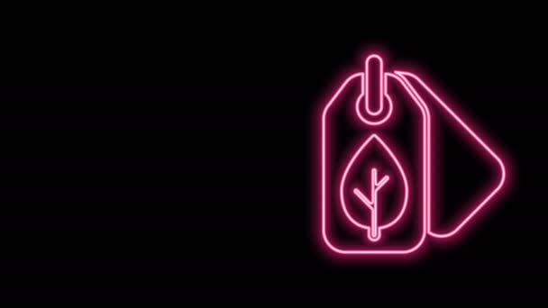 Gloeiende neon lijn Tag met blad symbool pictogram geïsoleerd op zwarte achtergrond. Banner, label, tag, logo, sticker voor eco groen. 4K Video motion grafische animatie — Stockvideo