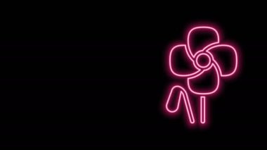 Parlayan neon hattı Poppy çiçek simgesi siyah arkaplanda izole edildi. 4K Video hareketli grafik canlandırması