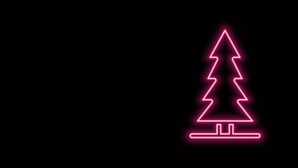 Leuchtende Neon-Linie kanadische Fichte Symbol isoliert auf schwarzem Hintergrund. Waldfichte. 4K Video Motion Grafik Animation — Stockvideo