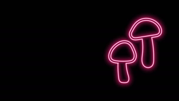 Leuchtende Neon-Linie Pilz-Symbol isoliert auf schwarzem Hintergrund. 4K Video Motion Grafik Animation — Stockvideo