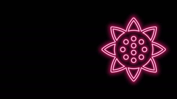 Świecąca neonowa ikona słonecznika odizolowana na czarnym tle. 4K Animacja graficzna ruchu wideo — Wideo stockowe