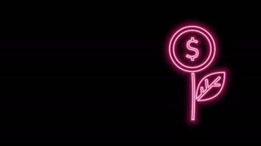 Parlayan neon hattı dolar bitkisi simgesi siyah arkaplanda izole edildi. İş yatırımı büyüme konsepti. Para tasarrufu ve yatırım. 4K Video hareketli grafik canlandırması