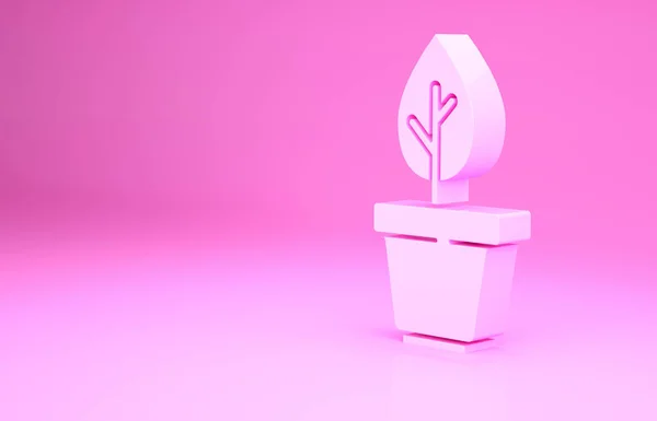 Pink Plant Pot Icoon Geïsoleerd Roze Achtergrond Planten Groeien Een — Stockfoto