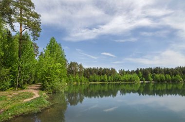 Bir orman gölet, çam ve ağaç çevresinde sessiz su