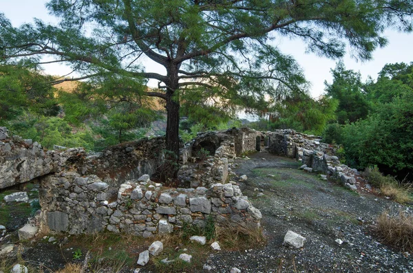 亜熱帯の森に囲まれたキメラ シラリ トルコ の近くの寺院の遺跡 — ストック写真