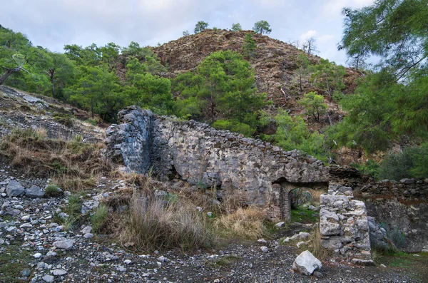 亜熱帯の森に囲まれたキメラ シラリ トルコ の近くの寺院の遺跡 — ストック写真