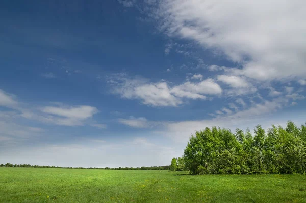 Зелені Поля Ліси Під Блакитним Небом Білими Хмарами — стокове фото