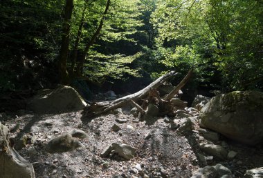 Nehir, yeşilliklerle çevrili bir yatak ile Mamed gorge kurutulmuş
