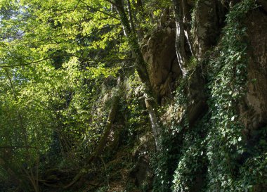 Nehir, yeşilliklerle çevrili bir yatak ile Mamed gorge kurutulmuş