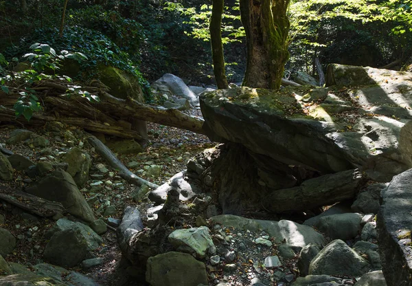 Mamed gorge with a bed of dried up river, surrounded by greenery