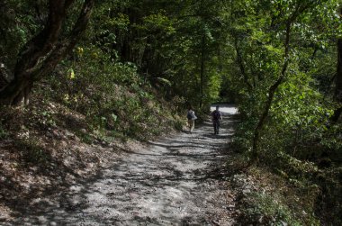 Nehir, yeşilliklerle çevrili bir yatak ile Mamed gorge kurutulmuş