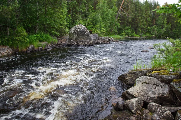 Eşik Nehri üzerinde Vazhenka, Kola Yarımadası (Rusya olduğunu)