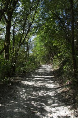Nehir, yeşilliklerle çevrili bir yatak ile Mamed gorge kurutulmuş