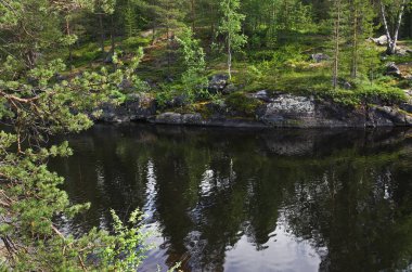 Büyük bir gölün kıyısında. Kıyı boyunca ormanlar