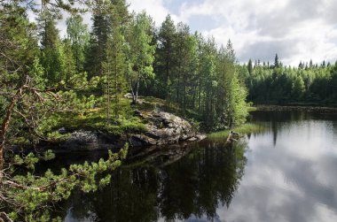 Büyük bir gölün kıyısında. Kıyı boyunca ormanlar