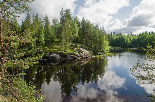 Bosrijke Oever Van Een Groot Meer Bossen Langs Kust — Stockfoto