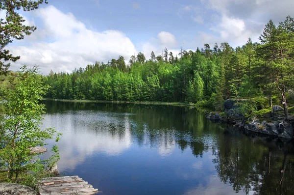 Gehölztes Ufer Eines Großen Sees Wälder Entlang Der Küste — Stockfoto