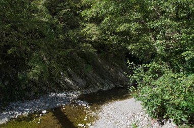 Nehir, yeşilliklerle çevrili bir yatak ile Mamed gorge kurutulmuş