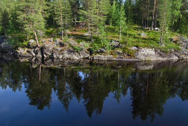 Bosrijke Oever Van Een Groot Meer Bossen Langs Kust — Stockfoto