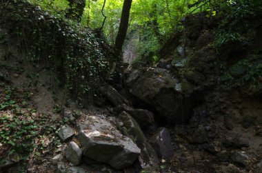 Nehir, yeşilliklerle çevrili bir yatak ile Mamed gorge kurutulmuş