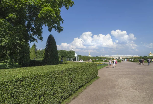 Perspective Buisson Rasé Dans Parc Peterhof — Photo