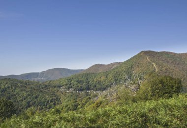 Landscapein Kafkas Dağları, yeşilin içinde boğulma