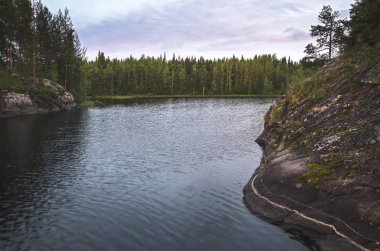 Büyük bir gölün kıyısında. Kıyı boyunca ormanlar