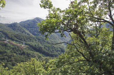 Kafkas Dağları, yeşilin içinde boğulma manzarada