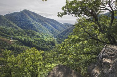 Kafkas Dağları, yeşilin içinde boğulma manzarada