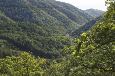 Kafkas Dağları, yeşilin içinde boğulma manzarada