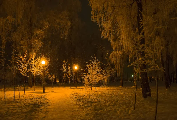 Snowfall Evening City Park Lanterns Illuminate Tracks — Stock Photo, Image