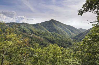 Kafkas Dağları, yeşilin içinde boğulma manzarada