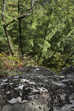 Kafkas Dağları, yeşilin içinde boğulma manzarada