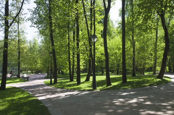 Güneş Işığı Noktalar Parkta Sokakta — Stok fotoğraf