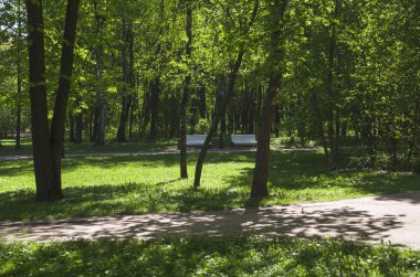 Güneş ışığı noktalar parkta sokakta