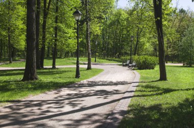 Güneş ışığı noktalar parkta sokakta