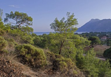 Türkiye'de Akdeniz kıyısında plaj