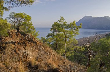 Türkiye'de Akdeniz kıyısında plaj