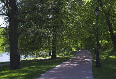 Güneş ışığı noktalar parkta sokakta