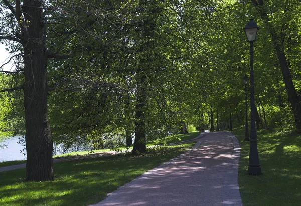 Allée Dans Parc Dans Les Endroits Ensoleillés — Photo