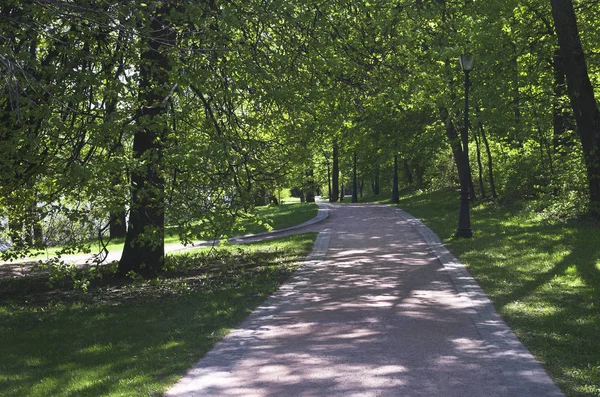 Allée Dans Parc Dans Les Endroits Ensoleillés — Photo