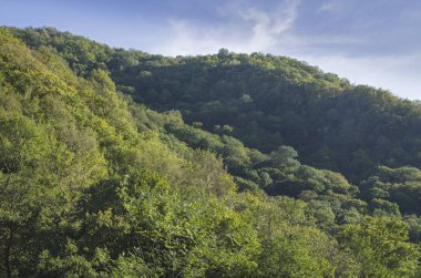 Kafkas Dağları, yeşilin içinde boğulma manzarada