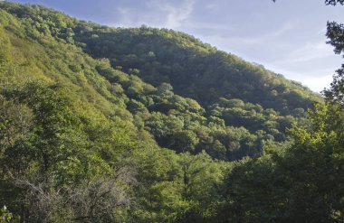 Kafkas Dağları, yeşilin içinde boğulma manzarada