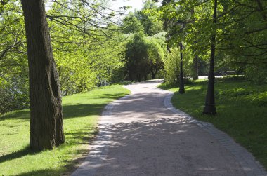 Parktaki ara sokak